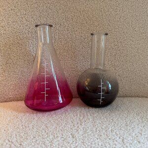 Set of 2 Halloween Glass Pink & Black Beaker Bottles